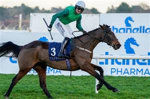 2023 Champion Bumper Odds and Entries - It's For Me tops another Irish-dominant market
