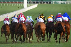 Sandown Betting Tips for February 11, 2023 - Race-By-Race preview for CF Orr Stakes day