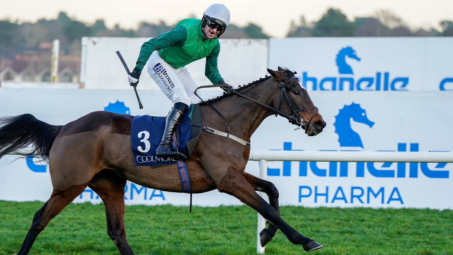 champion bumper odds