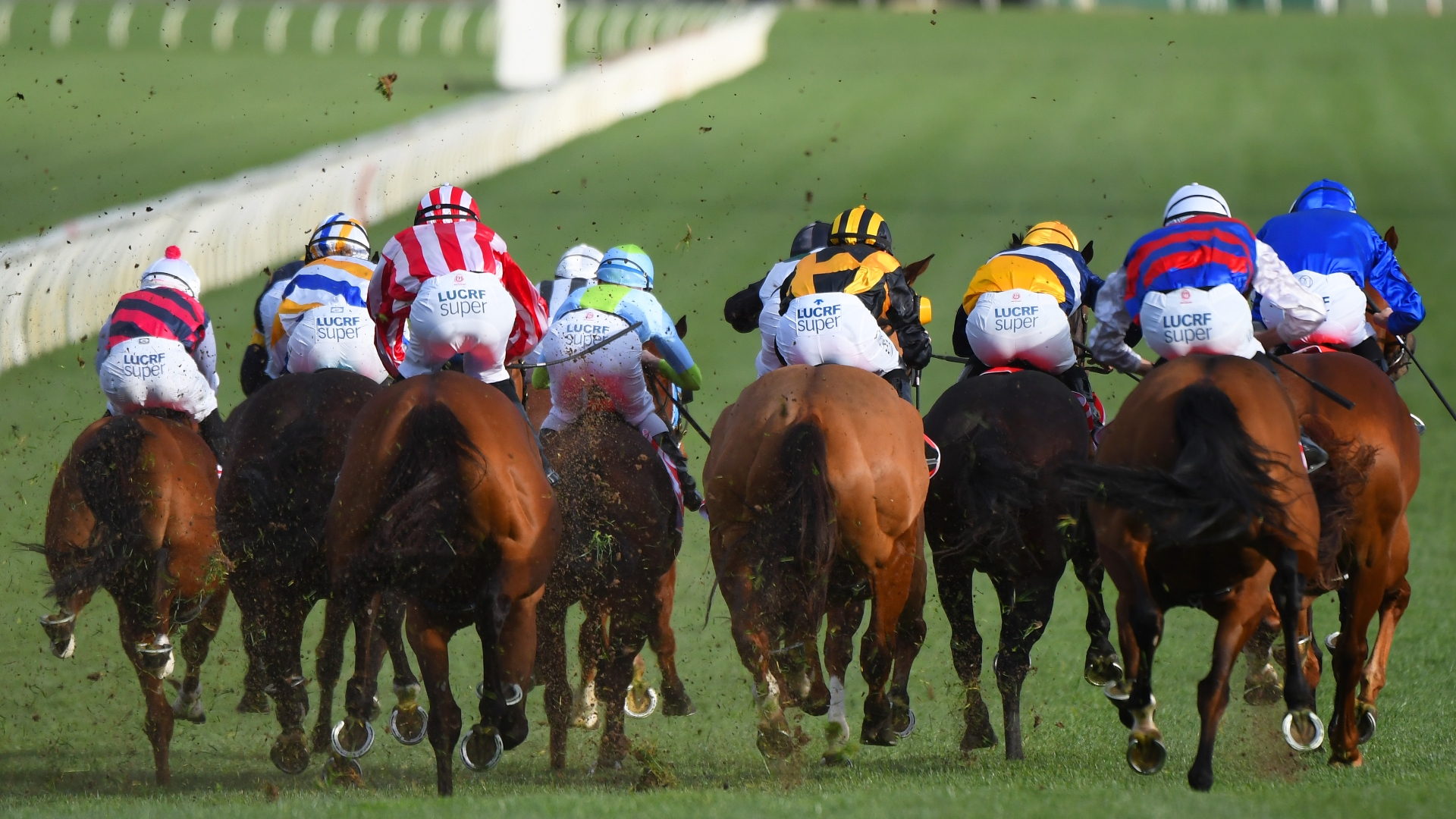 Sandown Racing Tips, Best Bets & Odds Today's Betting Tips for