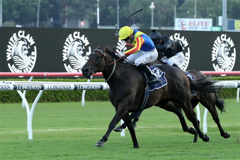 SYDNEY, AUSTRALIA - FEBRUARY 11: Tyler Schiller riding Po Kare Kare wins Race 9 Robrick Lodge Triscay Stakes during the Inglis Millennium Day - Sydney Racing at Royal Randwick Racecourse on February 11, 2023 in Sydney, Australia. (Photo by Jeremy Ng/Getty Images)
