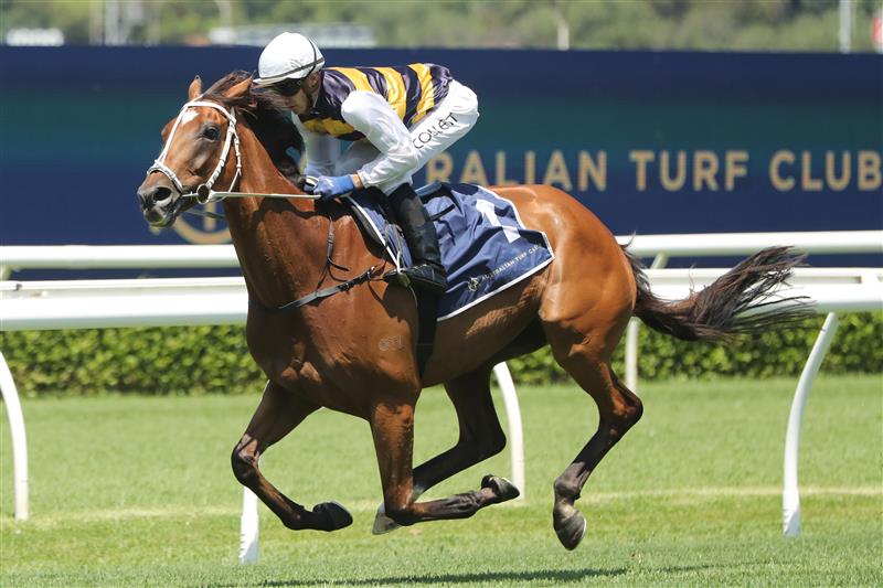 SYDNEY, AUSTRALIA - FEBRUARY 11: Jason Collett riding Salino is seen at an Exhibition Race during the Inglis Millennium Day - Sydney Racing at Royal Randwick Racecourse on February 11, 2023 in Sydney, Australia. (Photo by Jeremy Ng/Getty Images)