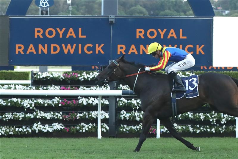 SYDNEY, AUSTRALIA - FEBRUARY 11: Tyler Schiller riding Po Kare Kare wins Race 9 Robrick Lodge Triscay Stakes during the Inglis Millennium Day - Sydney Racing at Royal Randwick Racecourse on February 11, 2023 in Sydney, Australia. (Photo by Jeremy Ng/Getty Images)