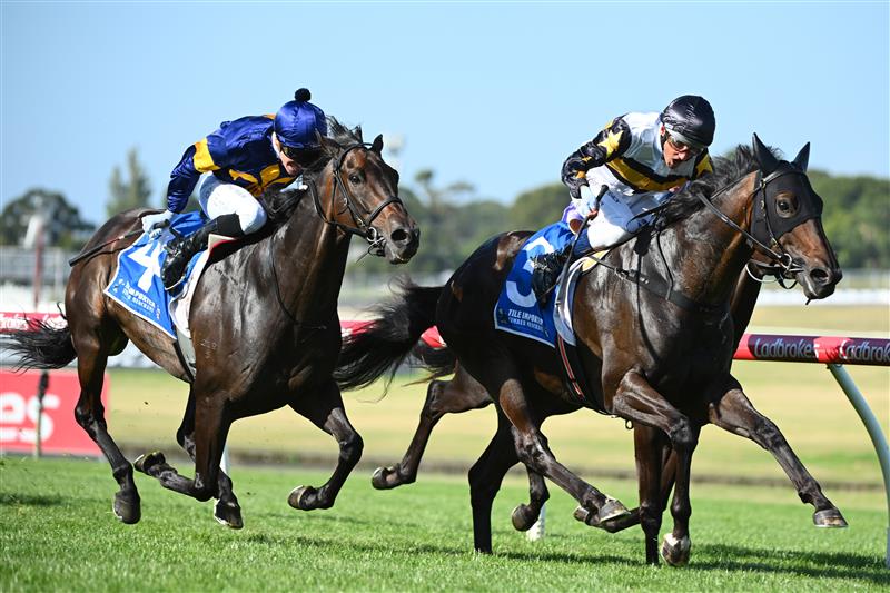 MELBOURNE, AUSTRALIA - FEBRUARY 11: Damien Oliver riding Here To Shock defeats Ben Melham riding Munhamek in Race 9, the Tile Importer Handicap, during Melbourne Racing at Sandown Hillside on February 11, 2023 in Melbourne, Australia. (Photo by Vince Caligiuri/Getty Images)