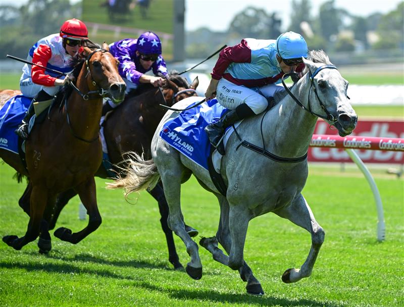 MELBOURNE, AUSTRALIA - FEBRUARY 11: Blake Shinn riding Glint of Silver winning Race 2, the Hyland Race Colours Autumn Stakes, during Melbourne Racing at Sandown Hillside on February 11, 2023 in Melbourne, Australia. (Photo by Vince Caligiuri/Getty Images)