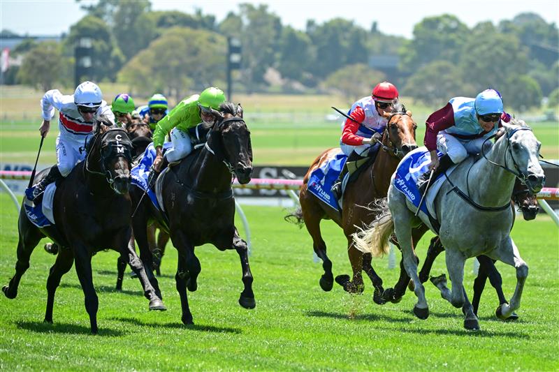 MELBOURNE, AUSTRALIA - FEBRUARY 11: Blake Shinn riding Glint of Silver winning Race 2, the Hyland Race Colours Autumn Stakes, during Melbourne Racing at Sandown Hillside on February 11, 2023 in Melbourne, Australia. (Photo by Vince Caligiuri/Getty Images)