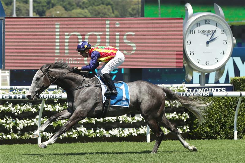 SYDNEY, AUSTRALIA - FEBRUARY 11:  Brenton Avdulla riding Ascension wins Race 4 $1M Inglis Pink Bonus during the Inglis Millennium Day - Sydney Racing at Royal Randwick Racecourse on February 11, 2023 in Sydney, Australia. (Photo by Jeremy Ng/Getty Images)