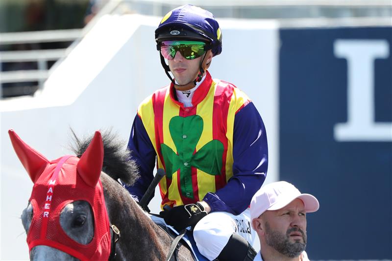 SYDNEY, AUSTRALIA - FEBRUARY 11:  Brenton Avdulla riding Ascension is seen in Race 4 $1M Inglis Pink Bonus during the Inglis Millennium Day - Sydney Racing at Royal Randwick Racecourse on February 11, 2023 in Sydney, Australia. (Photo by Jeremy Ng/Getty Images)