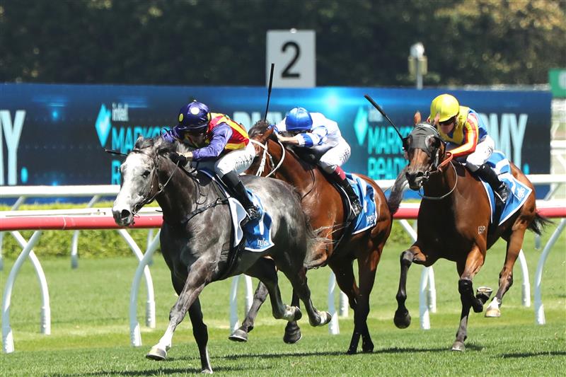 SYDNEY, AUSTRALIA - FEBRUARY 11:  Brenton Avdulla riding Ascension wins Race 4 $1M Inglis Pink Bonus during the Inglis Millennium Day - Sydney Racing at Royal Randwick Racecourse on February 11, 2023 in Sydney, Australia. (Photo by Jeremy Ng/Getty Images)