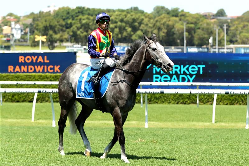 SYDNEY, AUSTRALIA - FEBRUARY 11:  Brenton Avdulla riding Ascension wins Race 4 $1M Inglis Pink Bonus during the Inglis Millennium Day - Sydney Racing at Royal Randwick Racecourse on February 11, 2023 in Sydney, Australia. (Photo by Jeremy Ng/Getty Images)