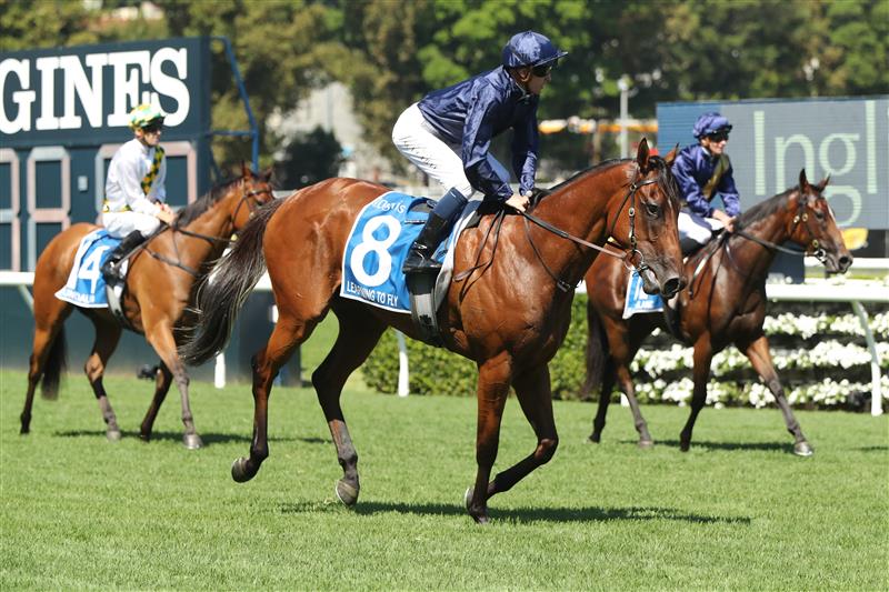 SYDNEY, AUSTRALIA - FEBRUARY 11: Chad Schofield riding Learning To Fly wins Race 6 Inglis Millennium during Sydney Racing at Royal Randwick Racecourse on February 11, 2023 in Sydney, Australia. (Photo by Jeremy Ng/Getty Images)