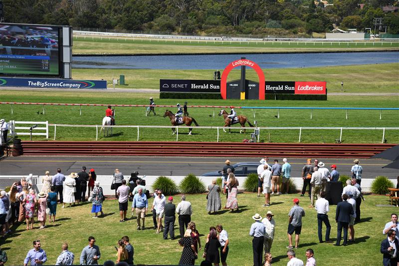 MELBOURNE, AUSTRALIA - FEBRUARY 11: General view of crow during Race 5, the Senet Kevin Hayes Stakes,  during Melbourne Racing at Sandown Hillside on February 11, 2023 in Melbourne, Australia. (Photo by Vince Caligiuri/Getty Images)