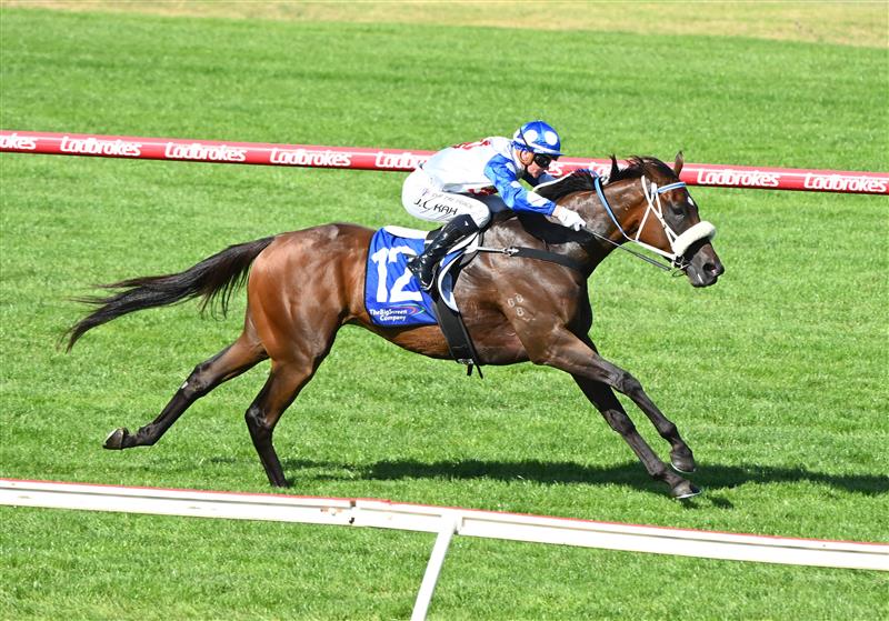 MELBOURNE, AUSTRALIA - FEBRUARY 11: Jamie Kah riding Pounding winning Race 8, The Big Screen Company T.s. Carlyon Cup, during Melbourne Racing at Sandown Hillside on February 11, 2023 in Melbourne, Australia. (Photo by Vince Caligiuri/Getty Images)