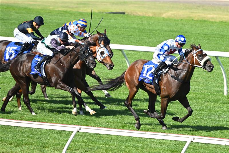 MELBOURNE, AUSTRALIA - FEBRUARY 11: Jamie Kah riding Pounding winning Race 8, The Big Screen Company T.s. Carlyon Cup, during Melbourne Racing at Sandown Hillside on February 11, 2023 in Melbourne, Australia. (Photo by Vince Caligiuri/Getty Images)