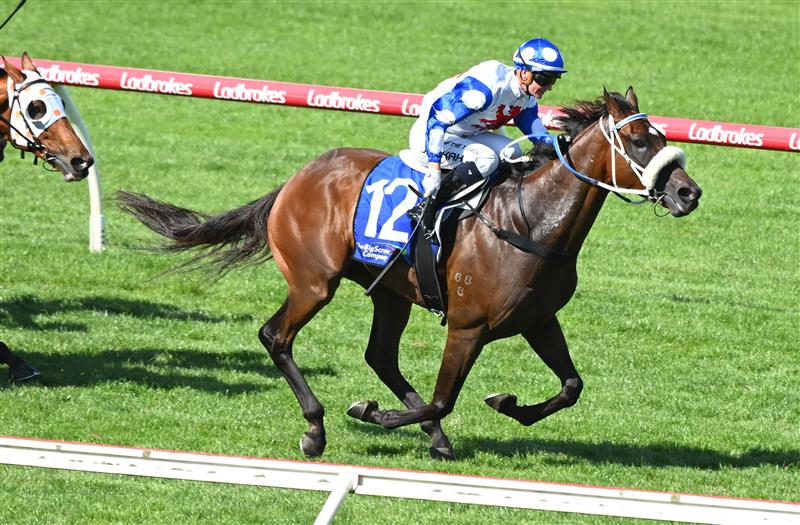 MELBOURNE, AUSTRALIA - FEBRUARY 11: Jamie Kah riding Pounding winning Race 8, The Big Screen Company T.s. Carlyon Cup, during Melbourne Racing at Sandown Hillside on February 11, 2023 in Melbourne, Australia. (Photo by Vince Caligiuri/Getty Images)