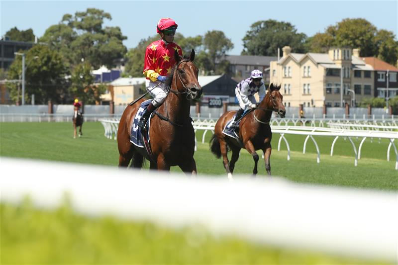SYDNEY, AUSTRALIA - FEBRUARY 11: Kerrin Mcevoy riding Quantico wins Race 5 Davali Thoroughbreds Southern Cross Stakes during the Inglis Millennium Day - Sydney Racing at Royal Randwick Racecourse on February 11, 2023 in Sydney, Australia. (Photo by Jeremy Ng/Getty Images)