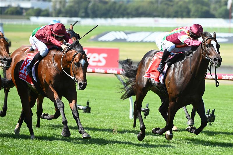 MELBOURNE, AUSTRALIA - FEBRUARY 11: Mark Zahra riding Gentleman Roy wins Race 7, the Ladbrokes C.f. Orr Stakes but loses the race on protest to Damian Lane riding Jacquinot (L)  during Melbourne Racing at Sandown Hillside on February 11, 2023 in Melbourne, Australia. (Photo by Vince Caligiuri/Getty Images)