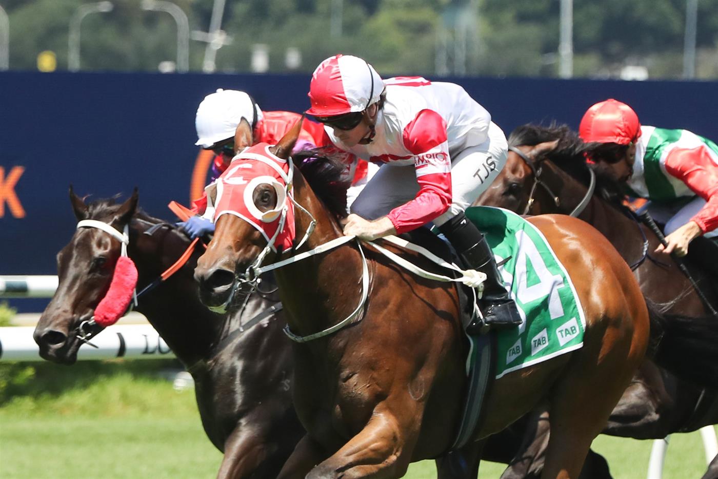 SYDNEY, AUSTRALIA - FEBRUARY 11: Tyler Schiller riding Amarantz wins Race 2 TAB Highway during the Inglis Millennium Day - Sydney Racing at Royal Randwick Racecourse on February 11, 2023 in Sydney, Australia. (Photo by Jeremy Ng/Getty Images)