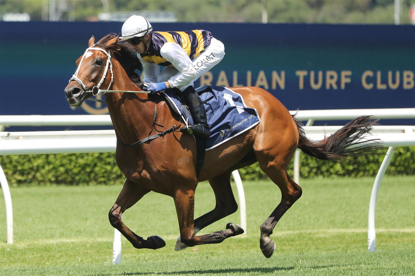 SYDNEY, AUSTRALIA - FEBRUARY 11: Jason Collett riding Salino is seen at an Exhibition Race during the Inglis Millennium Day - Sydney Racing at Royal Randwick Racecourse on February 11, 2023 in Sydney, Australia. (Photo by Jeremy Ng/Getty Images)
