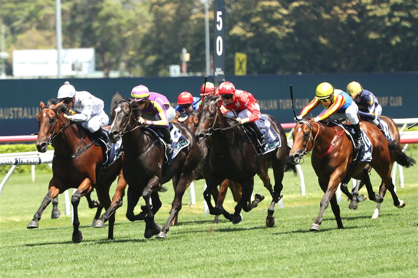 SYDNEY, AUSTRALIA - FEBRUARY 11: Jason Collett riding Mabel wins Race 3 Midway during the Inglis Millennium Day - Sydney Racing at Royal Randwick Racecourse on February 11, 2023 in Sydney, Australia. (Photo by Jeremy Ng/Getty Images)