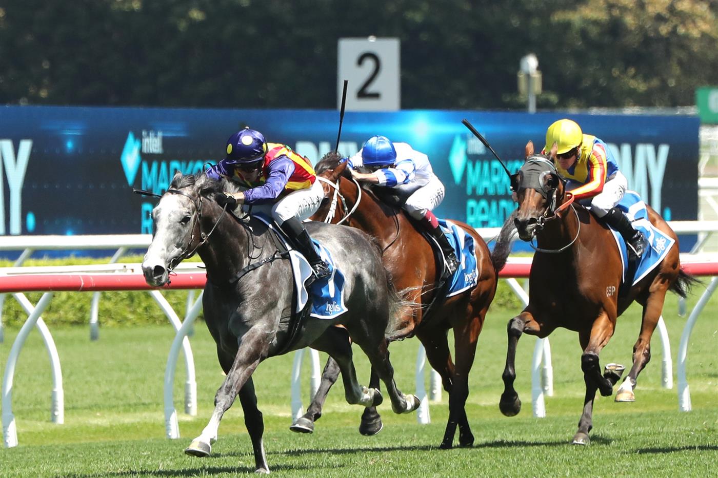 SYDNEY, AUSTRALIA - FEBRUARY 11:  Brenton Avdulla riding Ascension wins Race 4 $1M Inglis Pink Bonus during the Inglis Millennium Day - Sydney Racing at Royal Randwick Racecourse on February 11, 2023 in Sydney, Australia. (Photo by Jeremy Ng/Getty Images)
