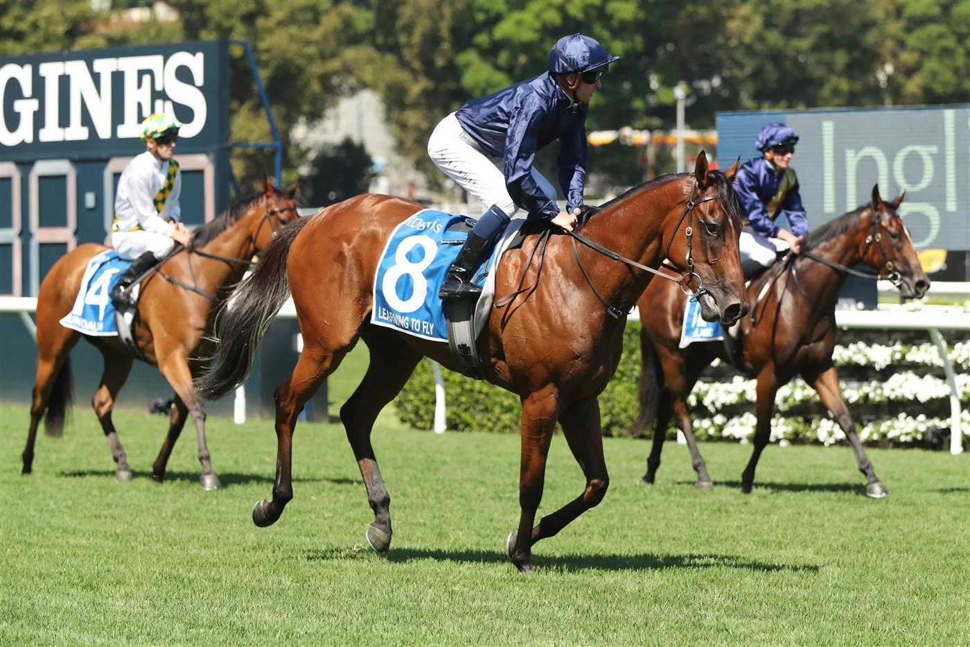 SYDNEY, AUSTRALIA - FEBRUARY 11: Chad Schofield riding Learning To Fly wins Race 6 Inglis Millennium during Sydney Racing at Royal Randwick Racecourse on February 11, 2023 in Sydney, Australia. (Photo by Jeremy Ng/Getty Images)