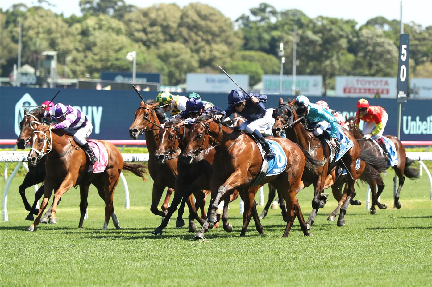 SYDNEY, AUSTRALIA - FEBRUARY 11: Chad Schofield riding Learning To Fly wins Race 6 Inglis Millennium during Sydney Racing at Royal Randwick Racecourse on February 11, 2023 in Sydney, Australia. (Photo by Jeremy Ng/Getty Images)