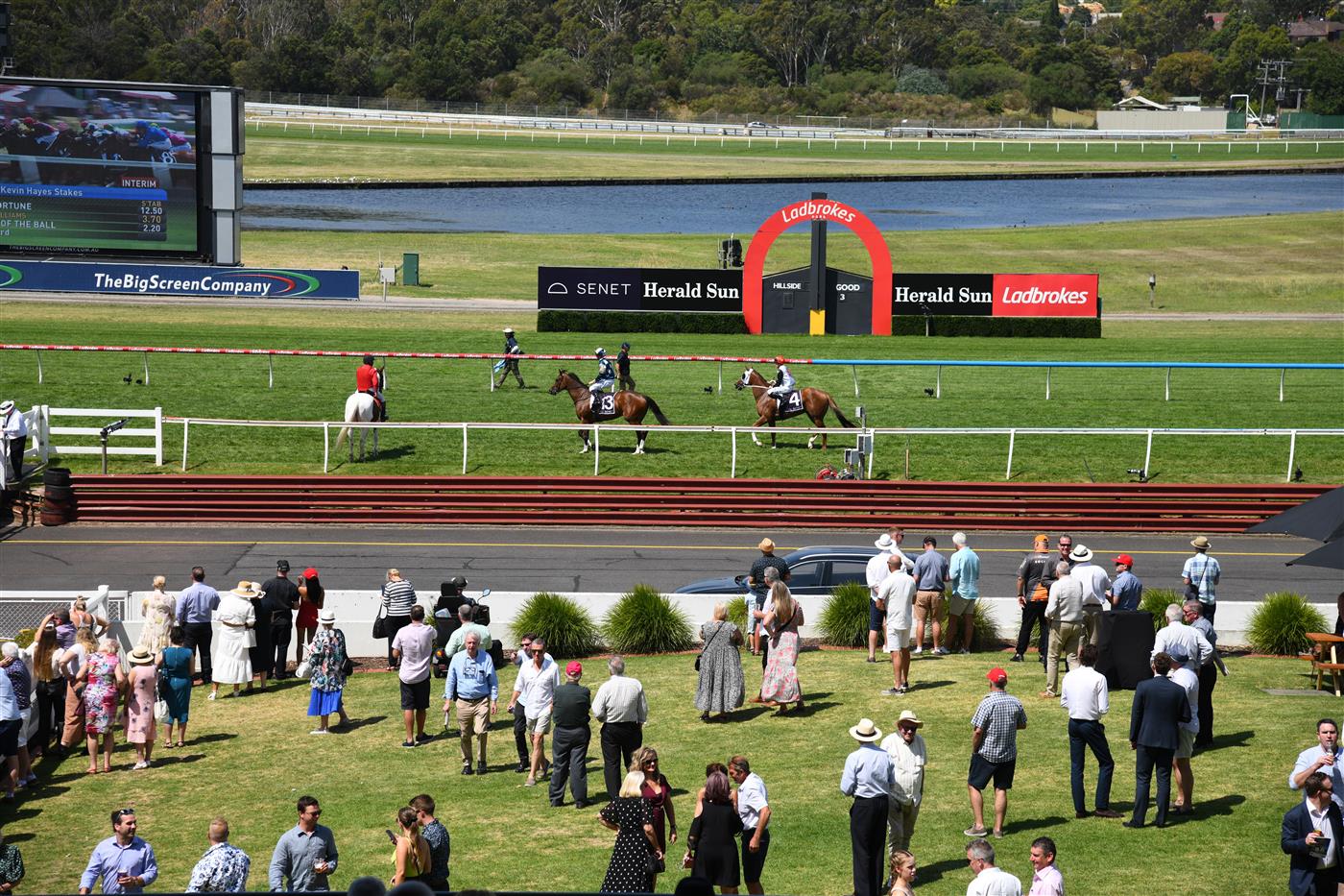 MELBOURNE, AUSTRALIA - FEBRUARY 11: General view of crow during Race 5, the Senet Kevin Hayes Stakes,  during Melbourne Racing at Sandown Hillside on February 11, 2023 in Melbourne, Australia. (Photo by Vince Caligiuri/Getty Images)
