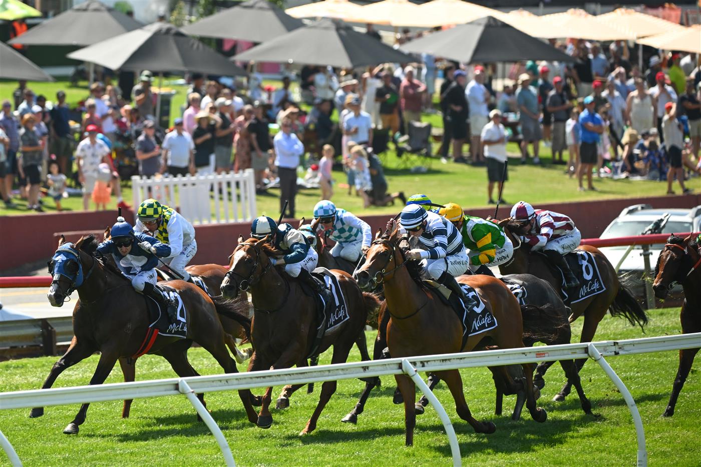 MELBOURNE, AUSTRALIA - FEBRUARY 11: Craig Newitt riding Lofty Strike defeats Damian Lane riding Uncommon James and Marine One (ctr) in Race 6, the Mccafe Rubiton Stakes, during Melbourne Racing at Sandown Hillside on February 11, 2023 in Melbourne, Australia. (Photo by Vince Caligiuri/Getty Images)