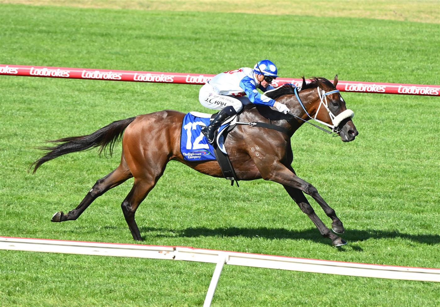 MELBOURNE, AUSTRALIA - FEBRUARY 11: Jamie Kah riding Pounding winning Race 8, The Big Screen Company T.s. Carlyon Cup, during Melbourne Racing at Sandown Hillside on February 11, 2023 in Melbourne, Australia. (Photo by Vince Caligiuri/Getty Images)