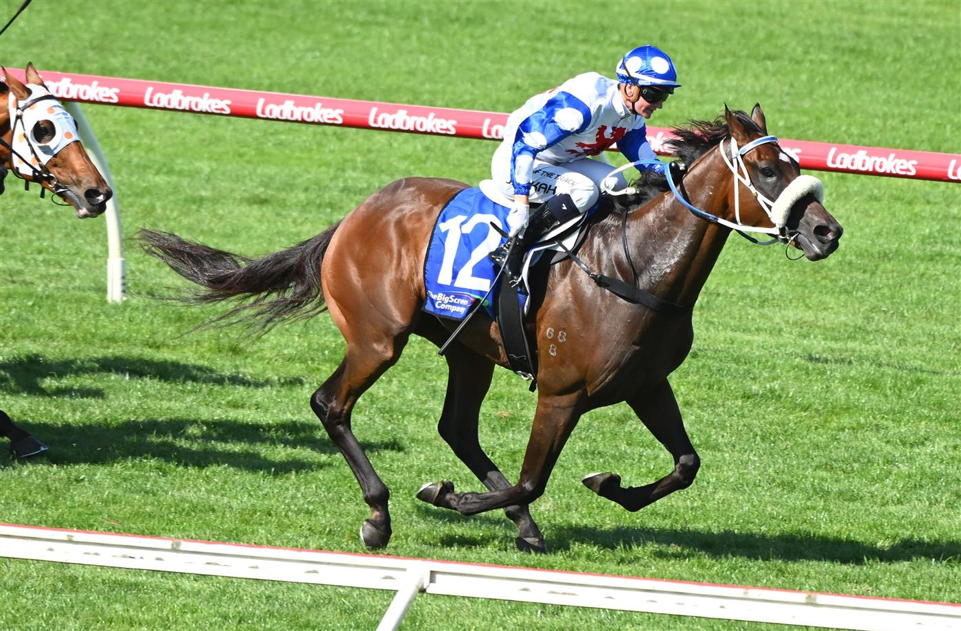 MELBOURNE, AUSTRALIA - FEBRUARY 11: Jamie Kah riding Pounding winning Race 8, The Big Screen Company T.s. Carlyon Cup, during Melbourne Racing at Sandown Hillside on February 11, 2023 in Melbourne, Australia. (Photo by Vince Caligiuri/Getty Images)