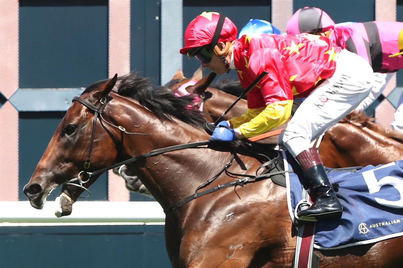 SYDNEY, AUSTRALIA - FEBRUARY 11: Kerrin Mcevoy riding Quantico wins Race 5 Davali Thoroughbreds Southern Cross Stakes during the Inglis Millennium Day - Sydney Racing at Royal Randwick Racecourse on February 11, 2023 in Sydney, Australia. (Photo by Jeremy Ng/Getty Images)