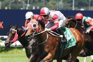 SYDNEY, AUSTRALIA - FEBRUARY 11: Tyler Schiller riding Amarantz wins Race 2 TAB Highway during the Inglis Millennium Day - Sydney Racing at Royal Randwick Racecourse on February 11, 2023 in Sydney, Australia. (Photo by Jeremy Ng/Getty Images)