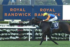 SYDNEY, AUSTRALIA - FEBRUARY 11: Tyler Schiller riding Po Kare Kare wins Race 9 Robrick Lodge Triscay Stakes during the Inglis Millennium Day - Sydney Racing at Royal Randwick Racecourse on February 11, 2023 in Sydney, Australia. (Photo by Jeremy Ng/Getty Images)