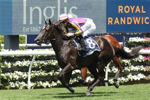 SYDNEY, AUSTRALIA - FEBRUARY 11: Jason Collett riding Mabel wins Race 3 Midway during the Inglis Millennium Day - Sydney Racing at Royal Randwick Racecourse on February 11, 2023 in Sydney, Australia. (Photo by Jeremy Ng/Getty Images)