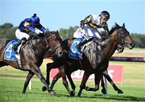MELBOURNE, AUSTRALIA - FEBRUARY 11: Damien Oliver riding Here To Shock defeats Ben Melham riding Munhamek in Race 9, the Tile Importer Handicap, during Melbourne Racing at Sandown Hillside on February 11, 2023 in Melbourne, Australia. (Photo by Vince Caligiuri/Getty Images)