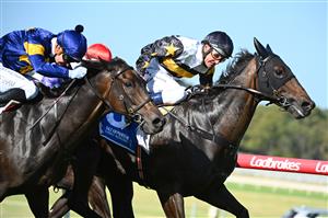 MELBOURNE, AUSTRALIA - FEBRUARY 11: Damien Oliver riding Here To Shock defeats Ben Melham riding Munhamek in Race 9, the Tile Importer Handicap, during Melbourne Racing at Sandown Hillside on February 11, 2023 in Melbourne, Australia. (Photo by Vince Caligiuri/Getty Images)
