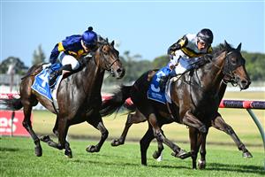 MELBOURNE, AUSTRALIA - FEBRUARY 11: Damien Oliver riding Here To Shock defeats Ben Melham riding Munhamek in Race 9, the Tile Importer Handicap, during Melbourne Racing at Sandown Hillside on February 11, 2023 in Melbourne, Australia. (Photo by Vince Caligiuri/Getty Images)