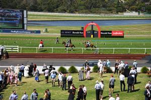 MELBOURNE, AUSTRALIA - FEBRUARY 11: General view of crow during Race 5, the Senet Kevin Hayes Stakes,  during Melbourne Racing at Sandown Hillside on February 11, 2023 in Melbourne, Australia. (Photo by Vince Caligiuri/Getty Images)