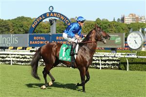 SYDNEY, AUSTRALIA - FEBRUARY 11: James Mcdonald riding James Mcdonald wins Race 8 TAB Apollo Stakes during the Inglis Millennium Day - Sydney Racing at Royal Randwick Racecourse on February 11, 2023 in Sydney, Australia. (Photo by Jeremy Ng/Getty Images)