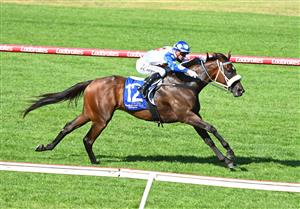 MELBOURNE, AUSTRALIA - FEBRUARY 11: Jamie Kah riding Pounding winning Race 8, The Big Screen Company T.s. Carlyon Cup, during Melbourne Racing at Sandown Hillside on February 11, 2023 in Melbourne, Australia. (Photo by Vince Caligiuri/Getty Images)