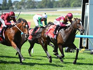 MELBOURNE, AUSTRALIA - FEBRUARY 11: Mark Zahra riding Gentleman Roy wins Race 7, the Ladbrokes C.f. Orr Stakes but loses the race on protest to Damian Lane riding Jacquinot (L)  during Melbourne Racing at Sandown Hillside on February 11, 2023 in Melbourne, Australia. (Photo by Vince Caligiuri/Getty Images)