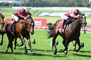 MELBOURNE, AUSTRALIA - FEBRUARY 11: Mark Zahra riding Gentleman Roy wins Race 7, the Ladbrokes C.f. Orr Stakes but loses the race on protest to Damian Lane riding Jacquinot (L)  during Melbourne Racing at Sandown Hillside on February 11, 2023 in Melbourne, Australia. (Photo by Vince Caligiuri/Getty Images)