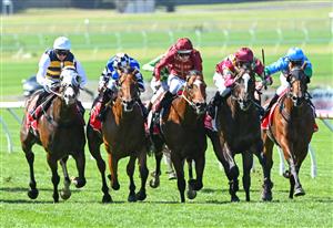 MELBOURNE, AUSTRALIA - FEBRUARY 11: Mark Zahra riding Gentleman Roy (2nd R) wins Race 7, the Ladbrokes C.f. Orr Stakes but loses the race on protest to Damian Lane riding Jacquinot (3 R) from Nugget and I