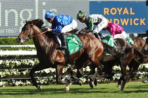 Randwick Highlights - February 11