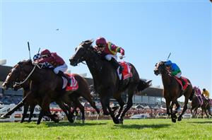 Sandown Highlights - February 11