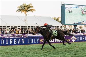 2023 Hollywoodbets Durban July Odds - Cousin Casey now tops ante-post betting