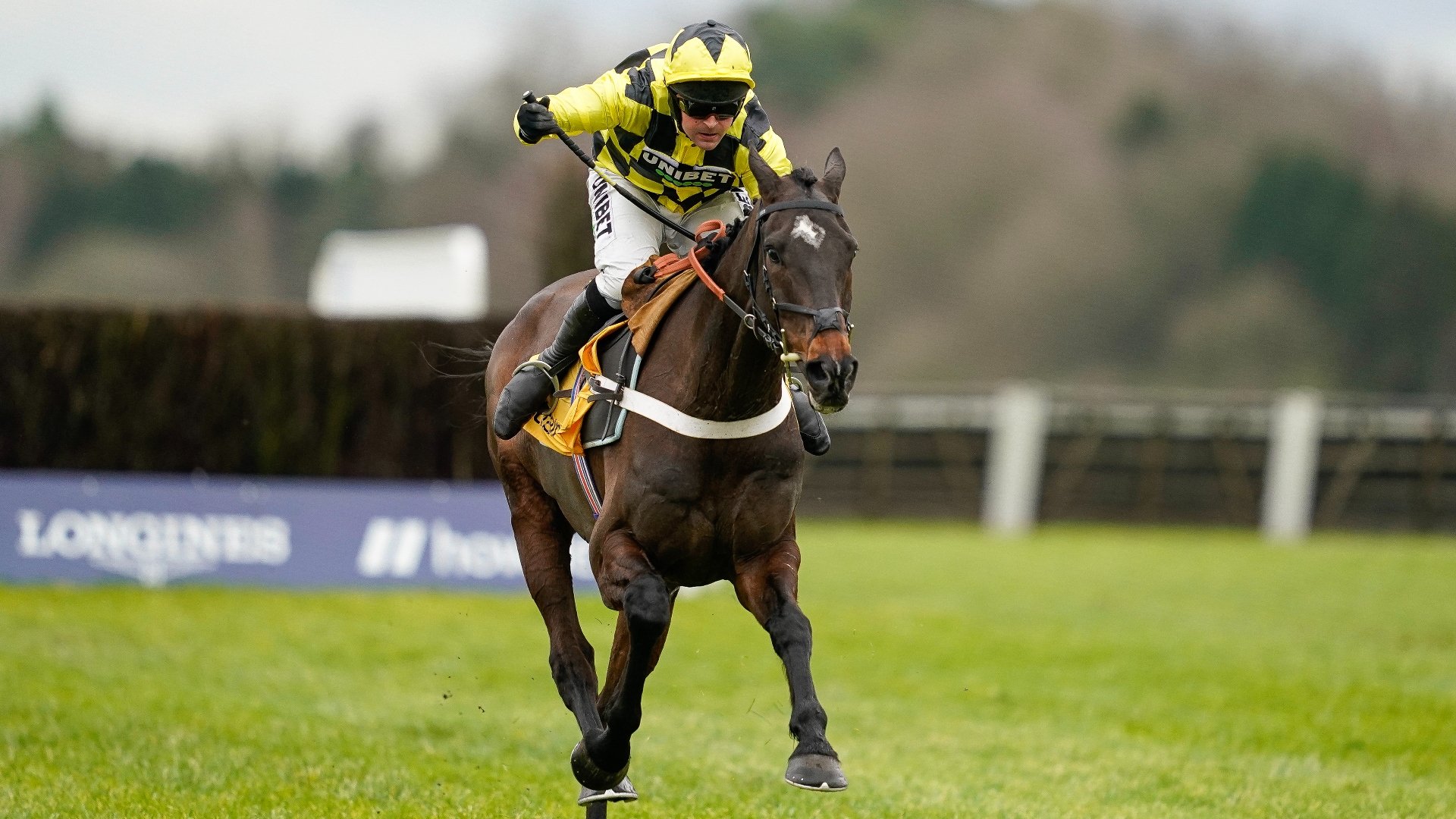 Racing Photos | Ascot races on February 18th [Pictures and Results]