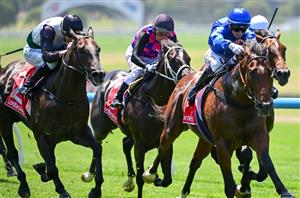 Blue Diamond Stakes Betting Odds - An open market is set