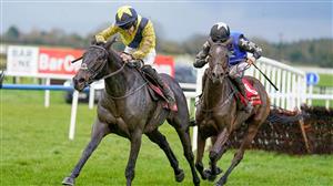 Supreme 2023 Tips - Connell's star the solid option in Festival opener